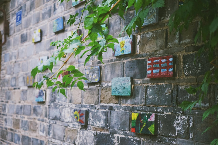 外星女生柴小七方仕达是谁演的?李铭顺个人资料介绍‘kaiyun开云网页版’(图2) kaiyun网页登录入口