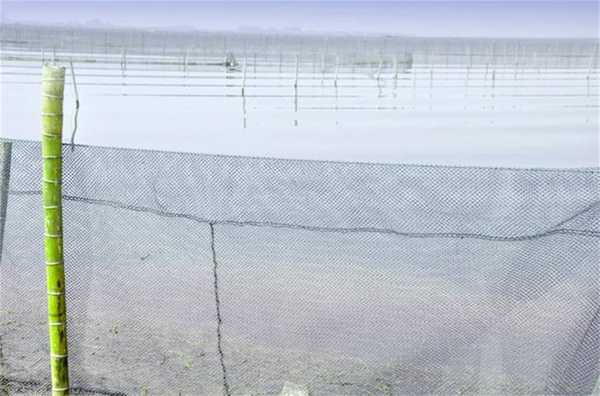 小戏骨版《武林外传》哪里可以看 小戏骨武林外传演员表_kaiyun网页登录入口(图2) kaiyun开云官方在线登录