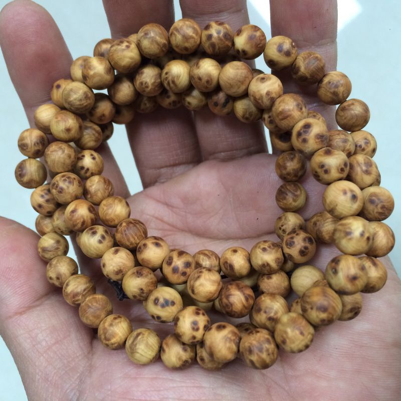 加油你是最棒的牛美丽是谁演的?牛美丽角色分析_kaiyun开云官方在线登录(图1) kaiyun开云官方在线登录