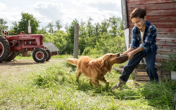 kaiyun开云网页版:国家电力投资集团公司电解铝产能置换方案公示(图2) kaiyun开云网页版